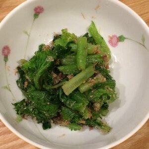 健康野菜◎わさび菜のおひたし